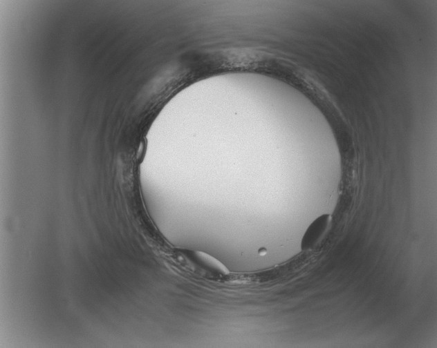 X0000080110505200612301947