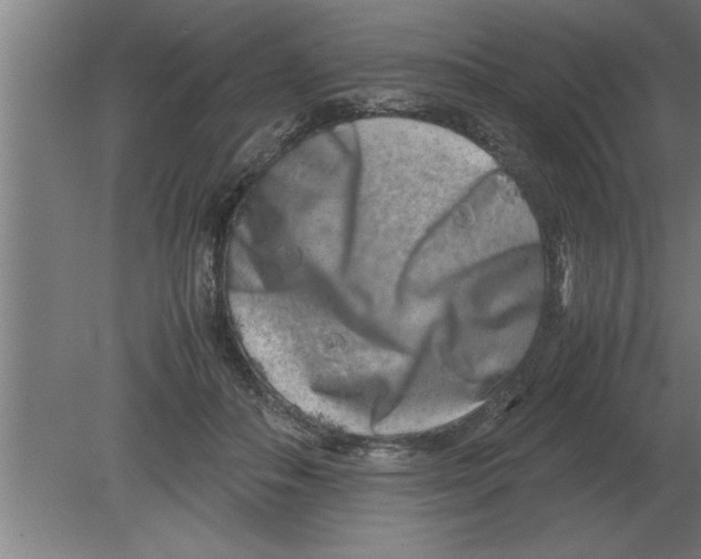 X0000080110506200612301947