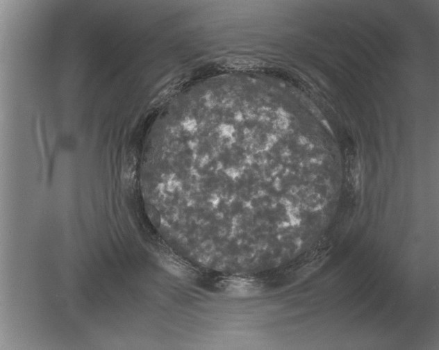 X0000080110507200612301947