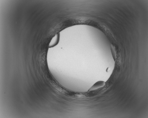 X0000080110509200612301947