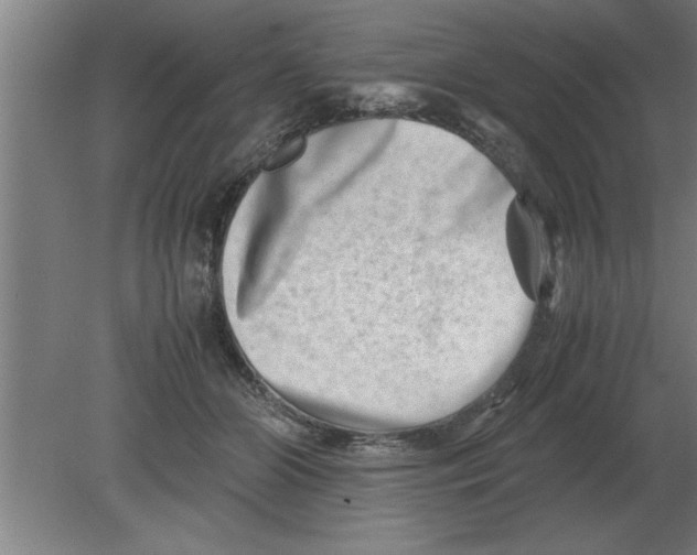 X0000080110510200612301947