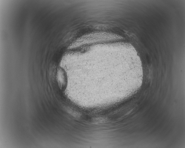 X0000080110511200612301947