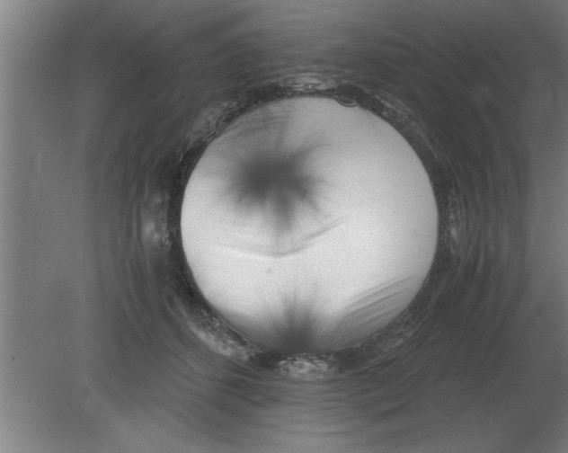 X0000080110512200612301947