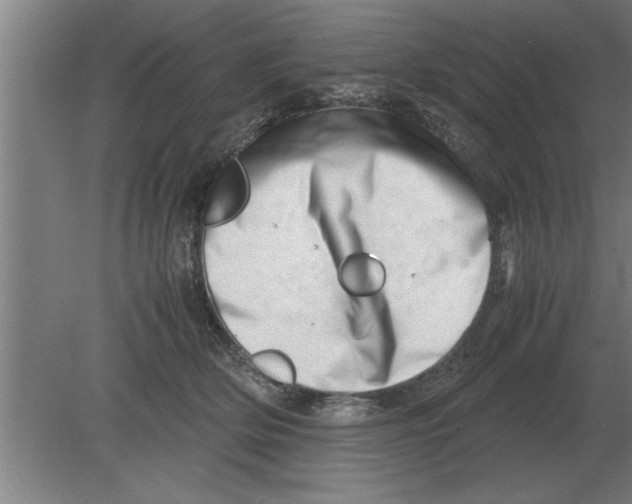 X0000080110514200612301947