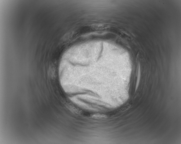 X0000080110515200612301947