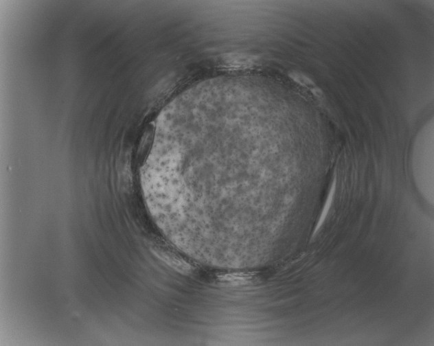 X0000080110516200612301947