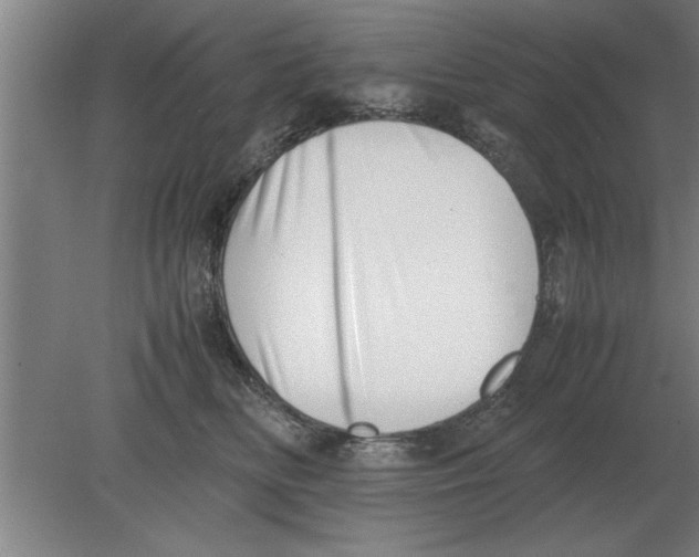 X0000080110518200612301947