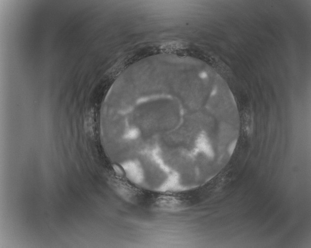 X0000080110519200612301947