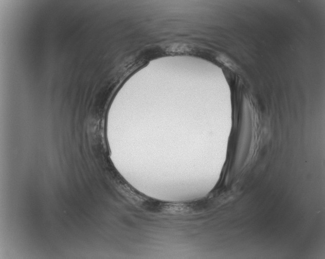 X0000080110521200612301947