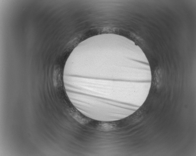 X0000080110522200612301947