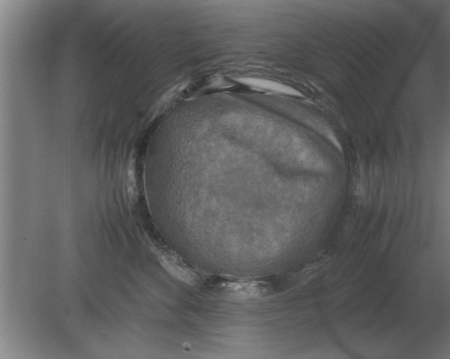 X0000080110524200612301947