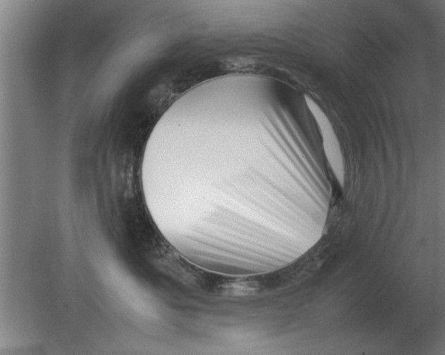 X0000080110525200612301947