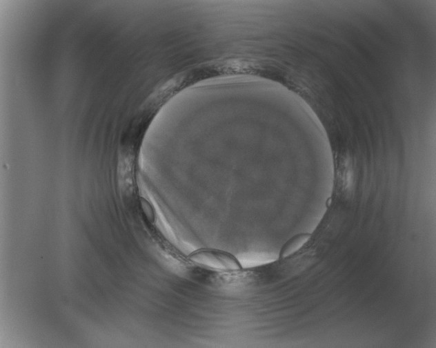 X0000080110526200612301947