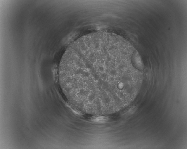 X0000080110527200612301947