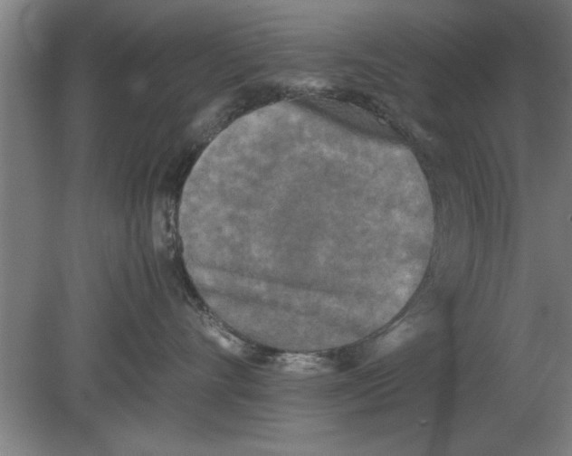 X0000080110528200612301947