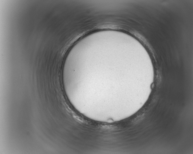 X0000080110529200612301946