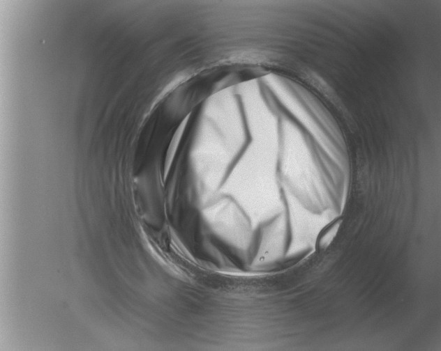 X0000080110530200612301946