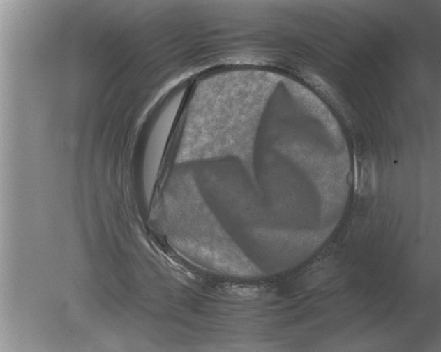 X0000080110531200612301946