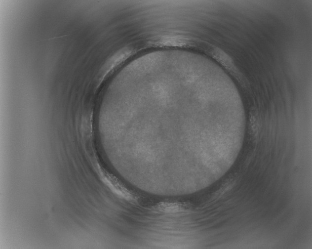 X0000080110534200612301946