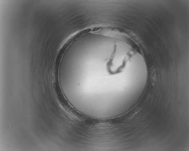 X0000080110536200612301946