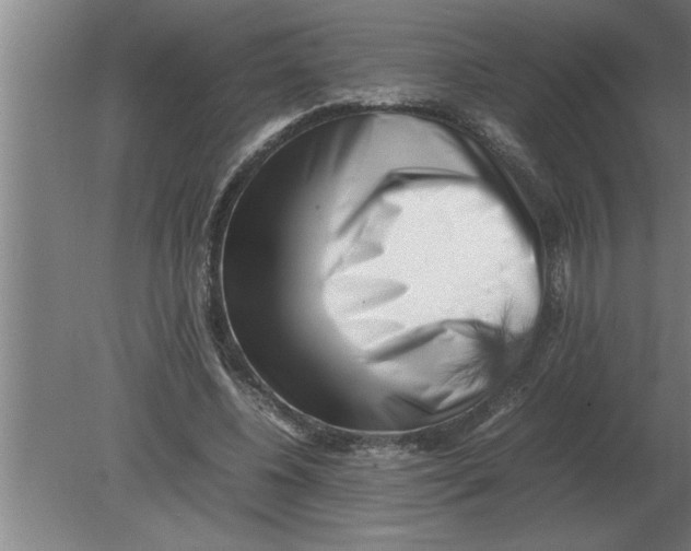 X0000080110540200612301946