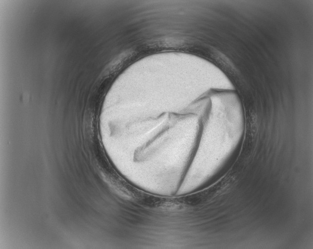 X0000080110542200612301946