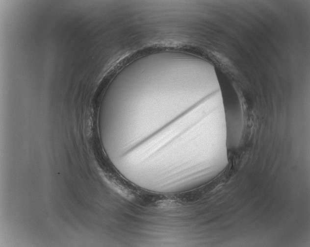 X0000080110544200612301946