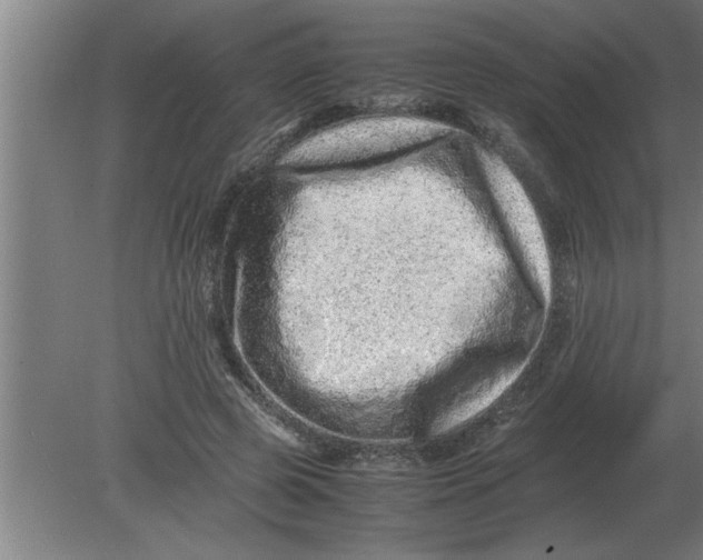 X0000080110545200612301946