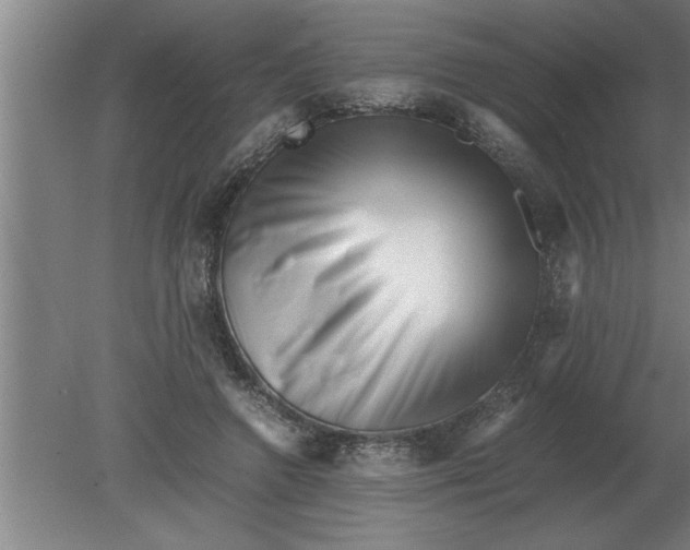 X0000080110546200612301946