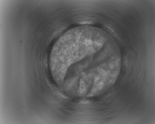 X0000080110547200612301946