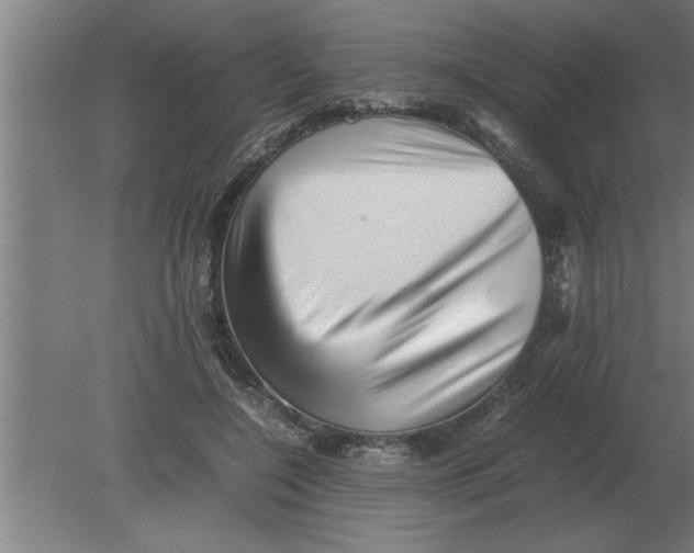 X0000080110548200612301946