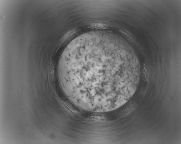 X0000080110552200612301946