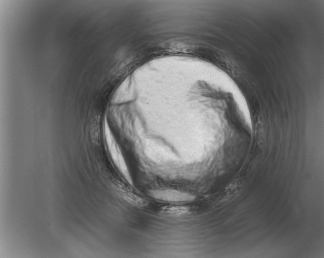 X0000080110554200612301946