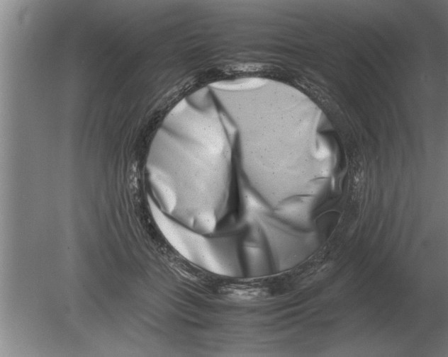 X0000080110555200612301946