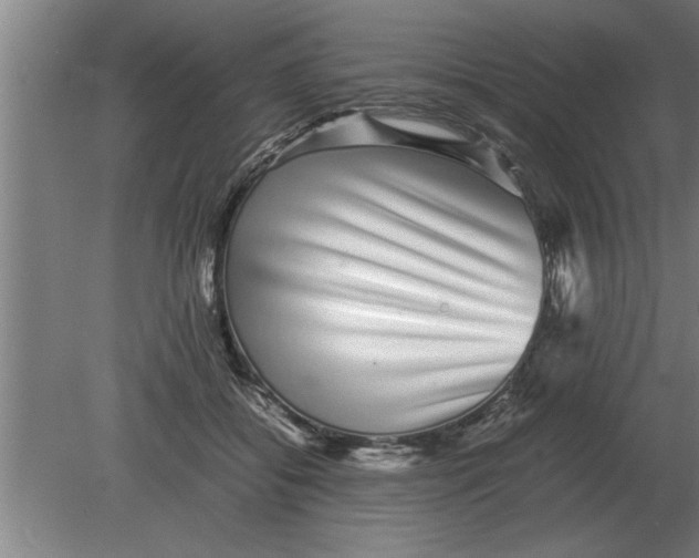 X0000080110556200612301946