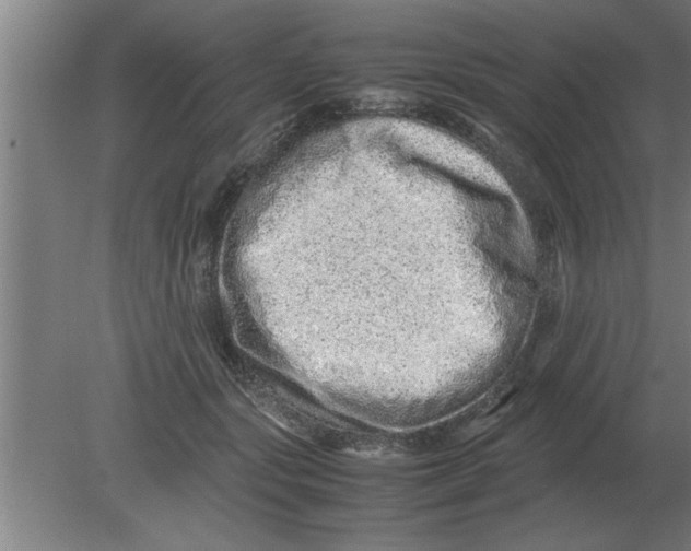 X0000080110557200612301946