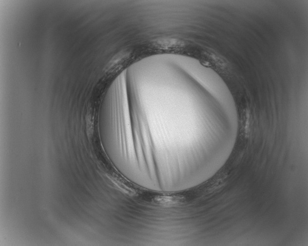 X0000080110558200612301946