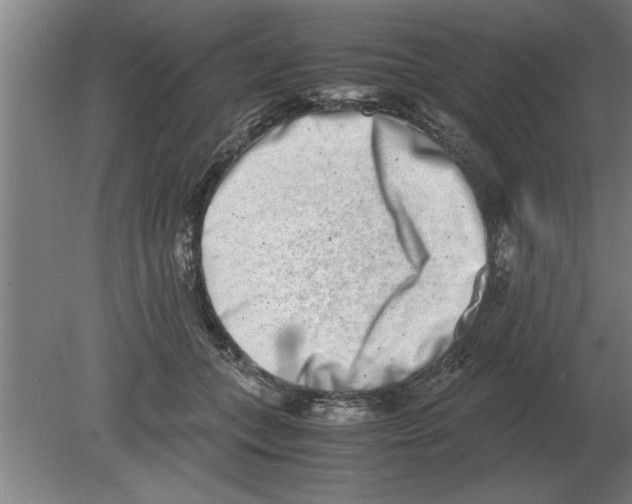 X0000080110559200612301946