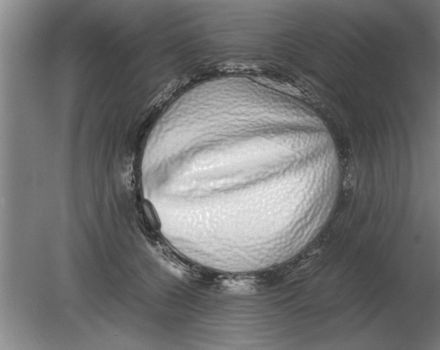 X0000080110560200612301946