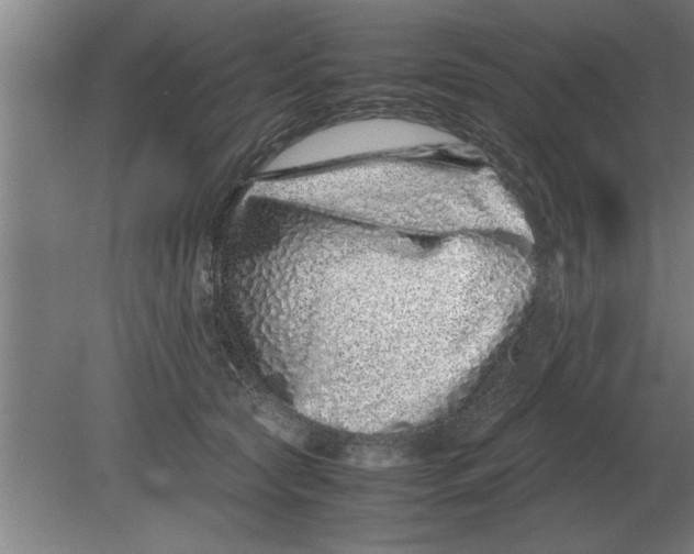 X0000080110561200612301946