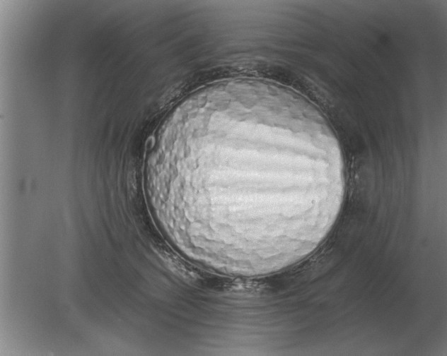 X0000080110562200612301946