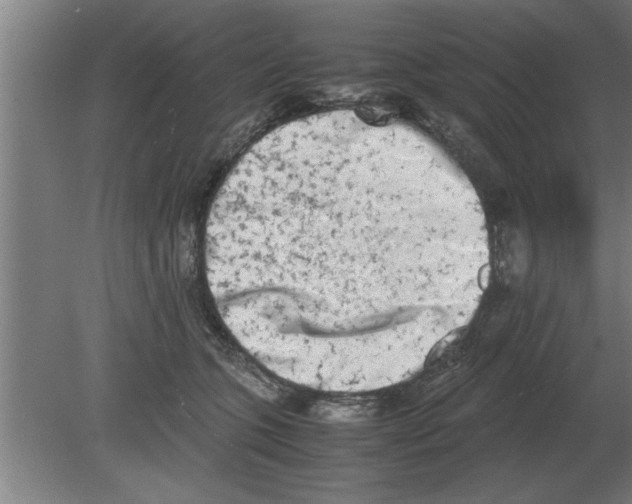 X0000080110563200612301946