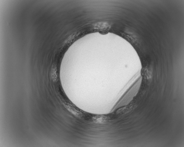 X0000080110564200612301947