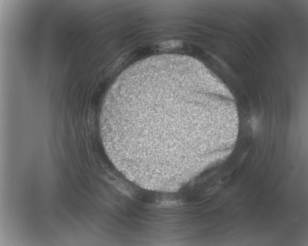 X0000080110565200612301947