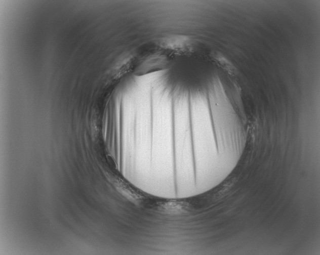 X0000080110566200612301947