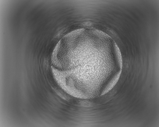 X0000080110568200612301947