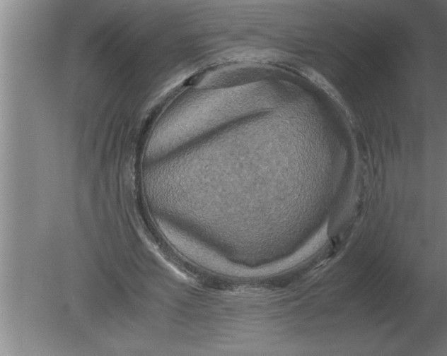 X0000080110581200612301946