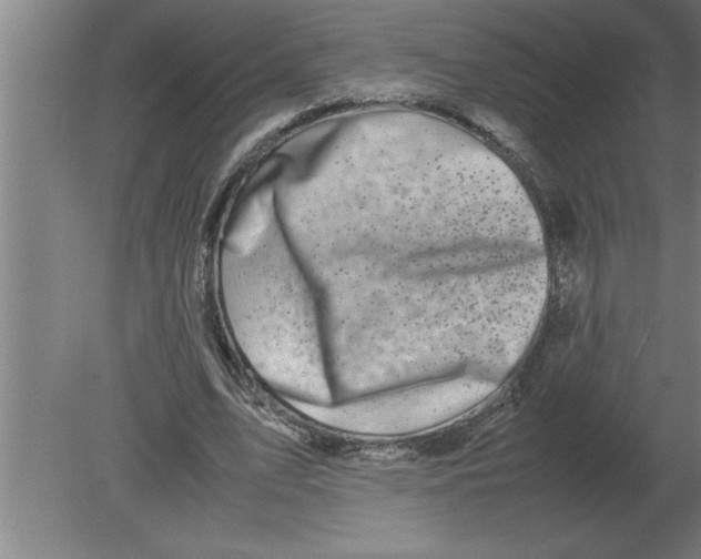 X0000080110583200612301946