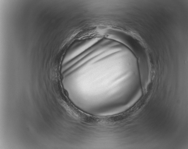 X0000080110585200612301946