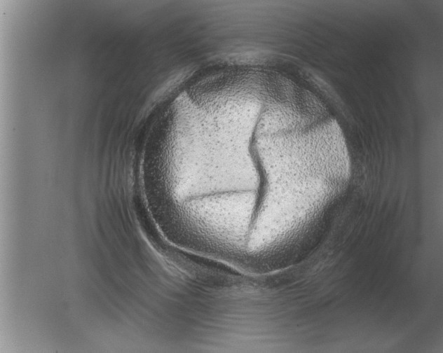 X0000080110586200612301946